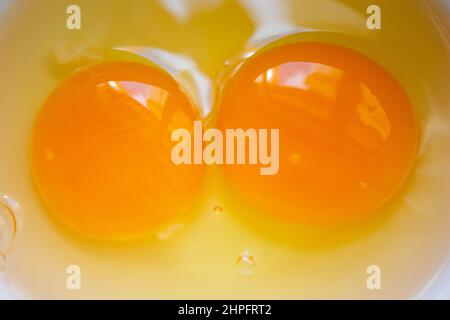 Raw egg yolks in bowl, top view of two egg yolk. Preparing to cooking something. Stock Photo