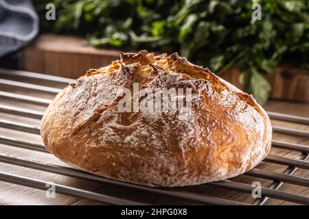 Freshly baked home-made uncut loaf of bread. Stock Photo