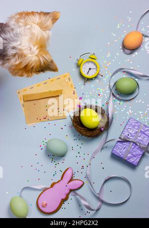 Small dog looks at Easter decorations. Pink bunny, colorful chicken eggs, bird's nest, yellow alarm clock, brown envelope letter festive composition t Stock Photo