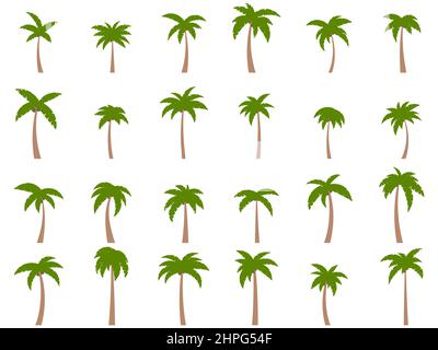 Palm trees with coconuts on a white background. Big set of tropical palm trees in different shapes and sizes for posters, banners and promotional item Stock Vector