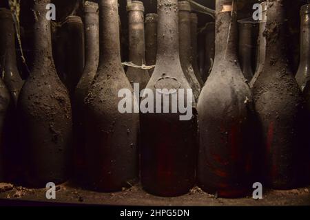 Inside Erzsébet Pince (Elizabeth Cellar) winery, founded by one of the first female winemakers in Tokaj, Erzsébet (Elizabeth) Prácse.    Tokaj is a hi Stock Photo