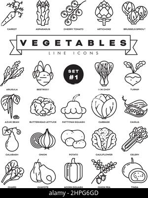 Collection of vegetables vector outline icons. Illustration of healthy food from all over the world. Set 1 of 3. Stock Vector