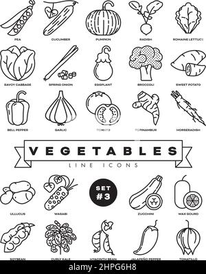 Collection of vegetables vector outline icons. Illustration of healthy food from all over the world. Set 3 of 3. Stock Vector
