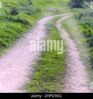 Dirt road through green countryside. Stock Photo