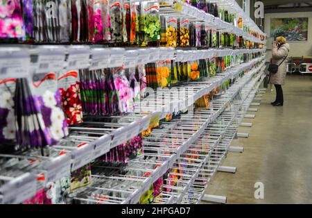 Moscow, Russia, December 2019: Stand with seeds of different varieties of annual flowers: marigold, petunias, etc. On a blurry background-a customer l Stock Photo