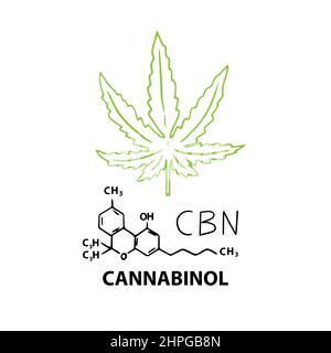 Cannabinol CBN banner concept with chemical formula and hemp cannabis leaf. Vector illustration banner in outline style isolated on white background Stock Vector