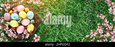 Nest with colorful Easter eggs and spring flowers on green grass with space for text Stock Photo