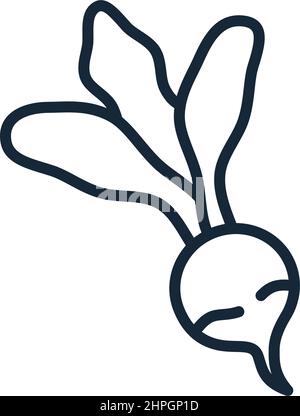 Stylish thin line icon of radish isolated on white background - Vector illustration Stock Vector