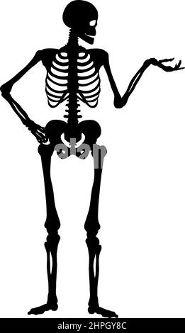Silhouette human skeleton showing or introducing. Symbol Halloween. Stock Vector