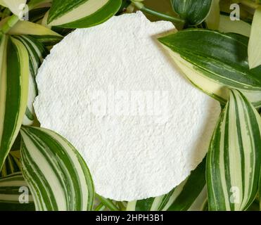 Craft paper blank note with the green leaves Stock Photo