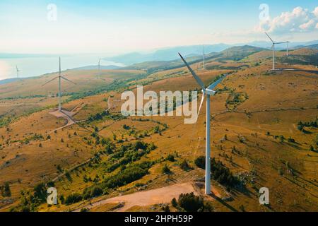 Wind generators produce renewable electric power in highland with rare trees near Adriatic sea under blue sky on sunny day view from drone Stock Photo