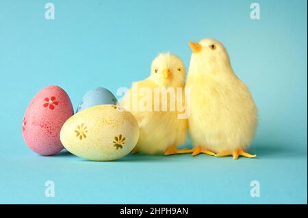 Easter eggs and yellow chick on a blue background. The minimal concept. Easter card. Stock Photo