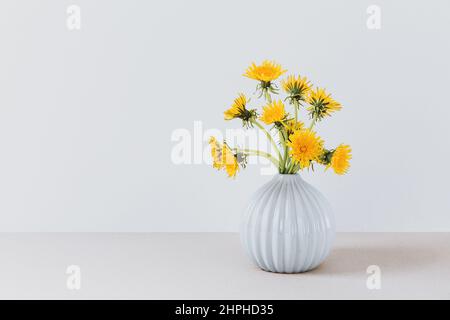 Yellow dandelions in vase on white background, close up, copy space. Bouquet sunny wildflowers dandelions in ceramic vase in bright background Stock Photo