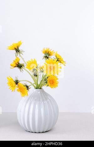 Yellow dandelions in vase on white background, close up, copy space. Bouquet sunny wildflowers dandelions in ceramic vase in bright background Stock Photo