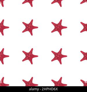 Dried red sea star fish pattern on white background close up. Top view, minimal flat lay style. Seamless Banner or poster. Stock Photo