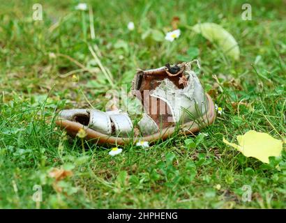 Berlin, Germany. 17th June, 2021. 17.06.2021, Berlin. A bitten child's shoe, which a red fox (Vulpes vulpes) stole from a hallway, lies on a lawn in a garden. Credit: Wolfram Steinberg/dpa Credit: Wolfram Steinberg/dpa/Alamy Live News Stock Photo