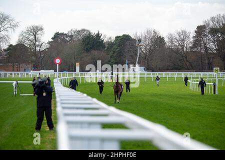 Ascot, Berkshire, UK. 19th February, 2022. A horse breaks free and decides to run his own race. Credit: Maureen McLean/Alamy Stock Photo