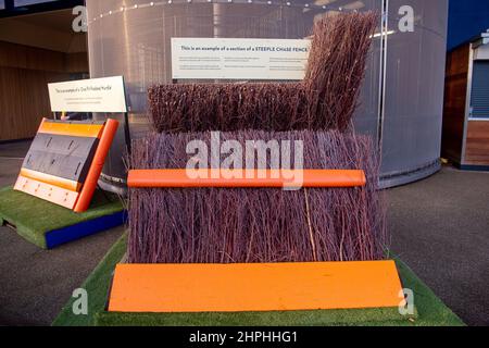 Ascot, Berkshire, UK. 19th February, 2022. An example of a Steeple Chase Fence for racegoers to see close up. Credit: Maureen McLean/Alamy Stock Photo