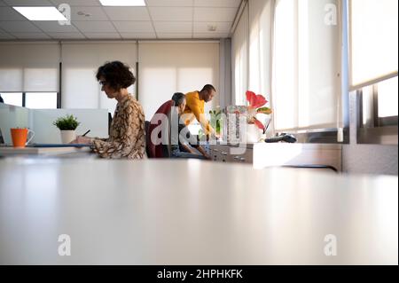 Three people of different ages and ethnicities working in one office. Stock Photo