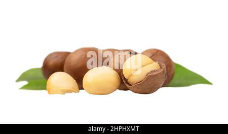 Several macadamia nuts with leaves isolated on white background Stock Photo
