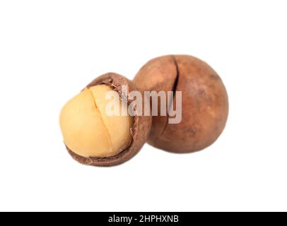 Peeled and whole macadamia nuts isolated on white background Stock Photo