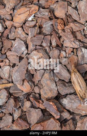 the texture of wood chips is very beautiful Stock Photo