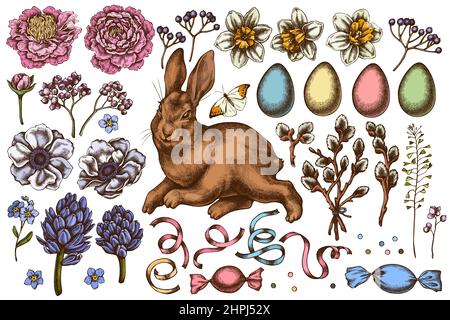 Easter hand drawn vector illustrations collection. Colored rabbit, eggs, willow branches, candies, shepherd's purse, great orange-tip, anemone Stock Vector