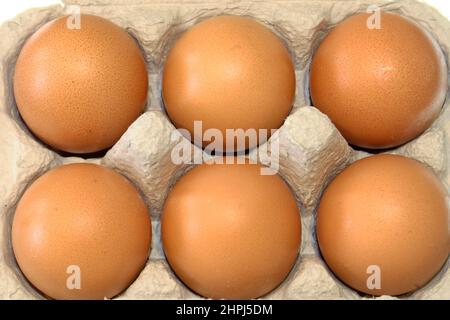 HALF A DOZEN BROWN CHICKENS EGGS IN CARDBOARD CARTON Stock Photo