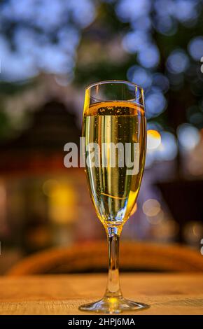 A flute of sparkling cava wine at an al fresco bar in the center of Madrid, Spain with ornate old buildings and trees in the background at sunset Stock Photo