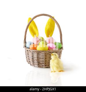 Easter wicker basket with pastel colorful eggs with yellow chick decorated rabbit ears isolated on white background. Spring holiday traditional religi Stock Photo