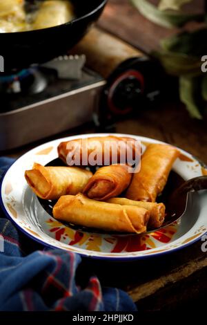 Fried spring rolls Stock Photo