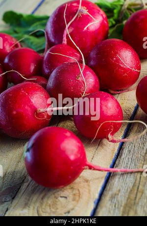 A lot of red radishes on a  brown wooden table Stock Photo
