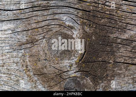 The surface of the old grey weathered wood texture. Close up and copy space for text or design Stock Photo