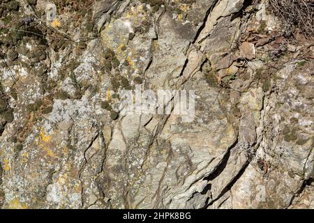 Grunge stone texture with moss outdoor on a sunny day. Highly detailed textured background. Close up and copy space for text or design Stock Photo