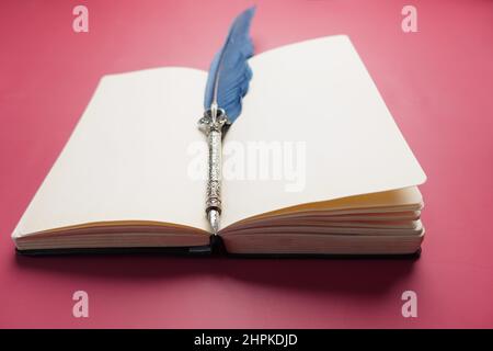 fountain pen and a open boon on ted background  Stock Photo