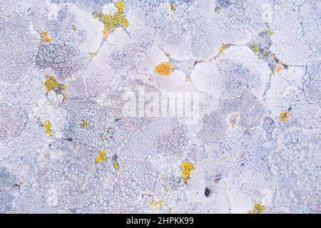 Texture of old stone close up. Natural background with stone pattern, moss and bumps from wind and water.  Stock Photo