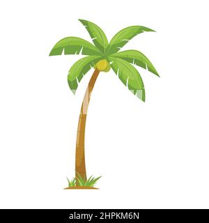 coconut tree, palm tree illustration vector design Stock Vector