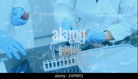 Molecular structure against scientists working in laboratory Stock Photo