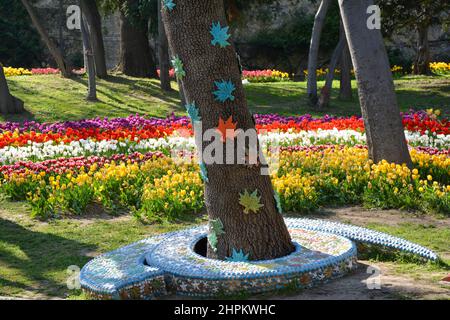 Spring season,  Selective focus on leaves on tree in park.. Blured white, red, yellow and purple tulips at background.  Tulip festival istanbul Stock Photo