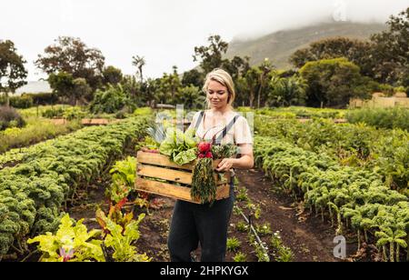 Cheerful organic farmer holding a box with fresh vegetables. Young female farmer smiling while harvesting fresh produce from her vegetable garden. Hap Stock Photo