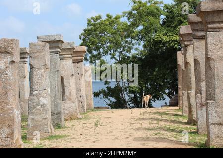 Council Chamber of King Nissankamalla at the ancient city of  Polonnaruwa in Sri Lanka Stock Photo