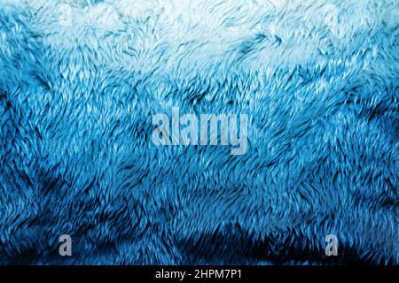 Backdrop close-up photo texture of blue colored fur material. Stock Photo