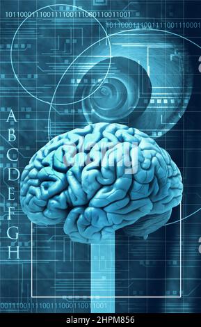 human brain as concept for science, math, language and intelligence Stock Photo
