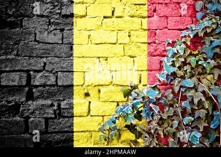 Belgium grunge flag on brick wall with ivy plant, country symbol concept Stock Photo