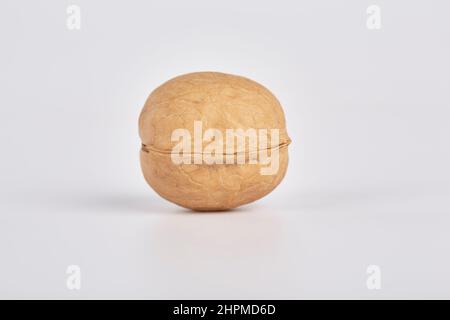 One whole walnut on a white background Stock Photo