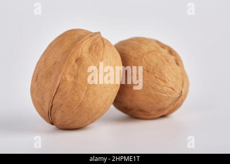 Two large walnuts lie side by side on a white background. Stock Photo
