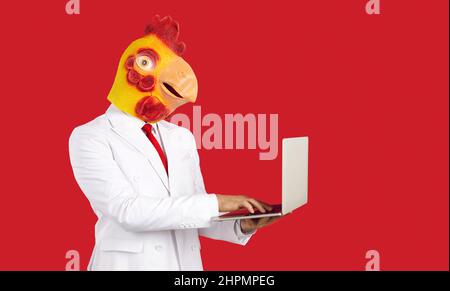 Funny crazy man in suit and chicken mask using laptop isolated on red background Stock Photo