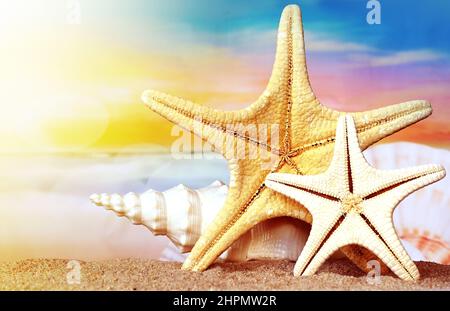 Two starfish and seashell on a sandy beach, concept of a summer holiday or vacation, beach tourism Stock Photo