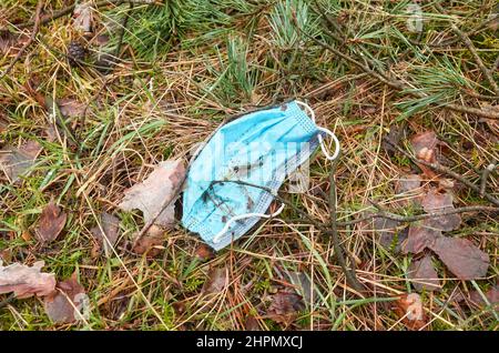 Discarded disposable medical face mask in the forest, selective focus. Stock Photo