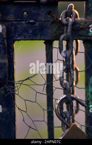 Metal fence with peeling paint and old chains with closed padlock hanging Stock Photo